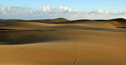 Scenic view of desert against sky