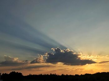 Low angle view of sunlight streaming through silhouette trees during sunset