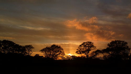 Silhouette trees against sky during sunset