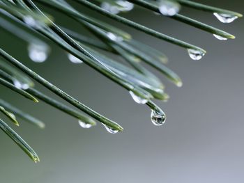 Close-up of metal