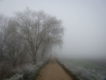 Road amidst trees against sky during winter