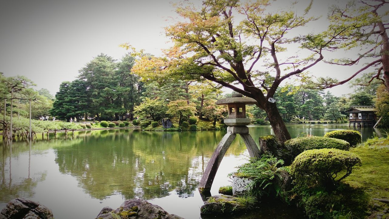 TREES GROWING BY POND IN FORMAL GARDEN