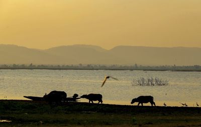 Riverside lifestyle and open-minded farming in the evening at thailand.