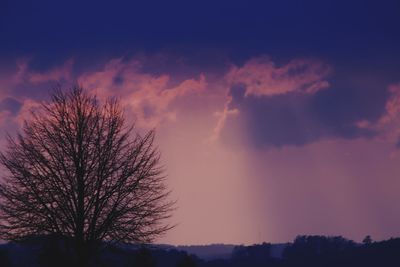 Low angle view of silhouette trees against sky at sunset