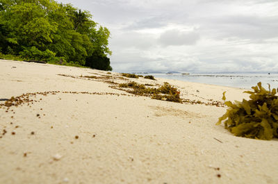 Scenic view of beach against sky