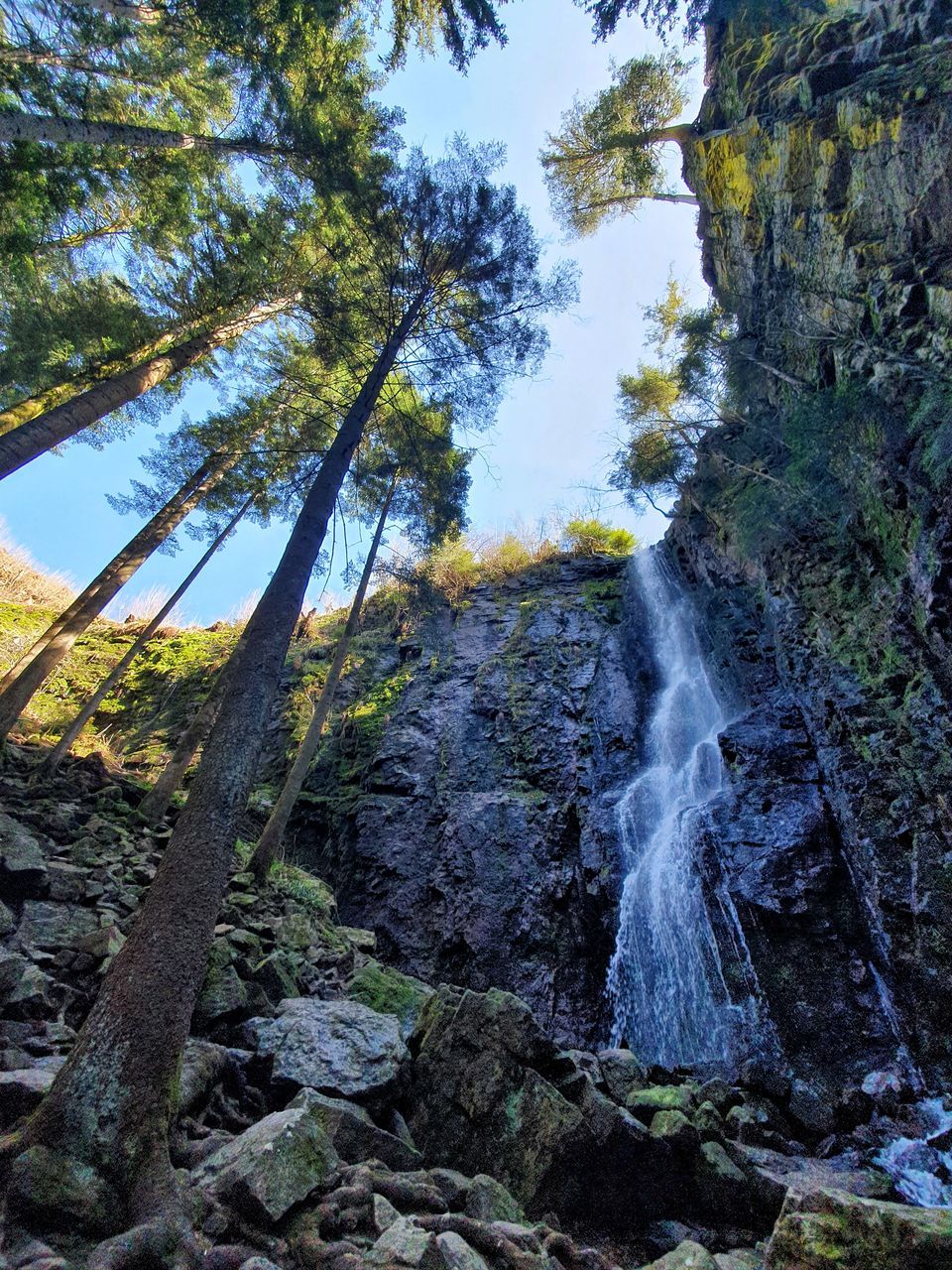 LOW ANGLE VIEW OF WATERFALL AGAINST TREES