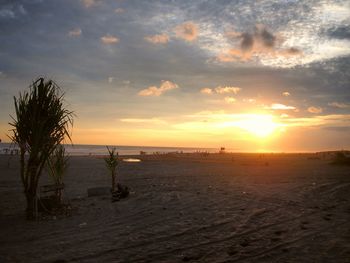 Scenic view of sea at sunset