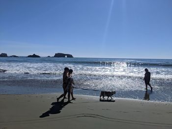 People with dog on beach against sky