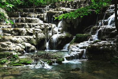 Scenic view of waterfall in forest