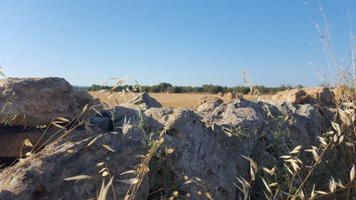 Scenic view of land against clear blue sky