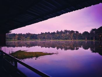 Reflection of trees in lake