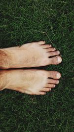 High angle view of person relaxing on grass