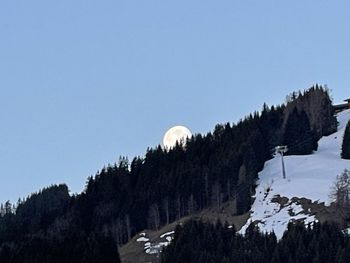 Panoramic shot of trees on landscape against clear sky