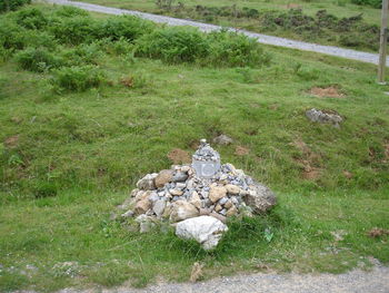 Rocks on grassy field