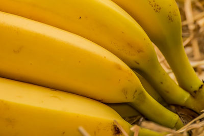 Close-up of yellow fruits for sale in market