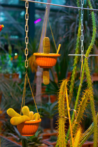 Close-up of christmas decoration hanging at night