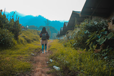 Rear view of woman walking on road amidst plants against sky