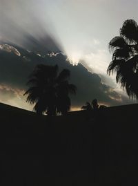 Low angle view of silhouette palm trees against sky