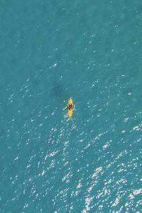 High angle view of man swimming in sea