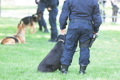 Low section of security men with dogs standing on grassy field