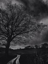 Bare tree on landscape against sky