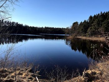 Scenic view of lake against clear blue sky