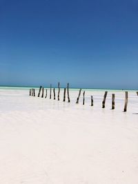 Wooden posts at beach against blue sky