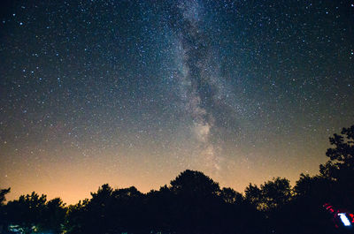 Low angle view of silhouette trees against sky at night