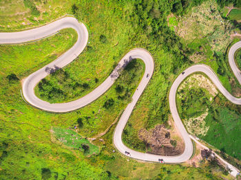 High angle view of grass