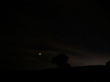 Low angle view of silhouette trees against sky at night