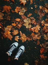 Low section of person standing on dry leaves