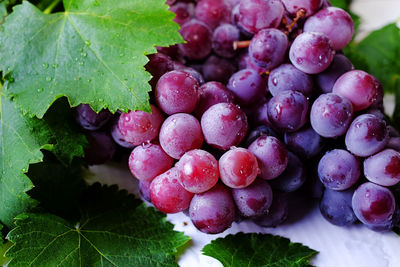 Close-up of grapes in water