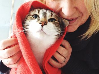 Close-up of hand holding cat