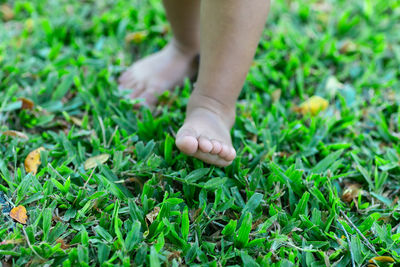 Low section of baby feet on grass