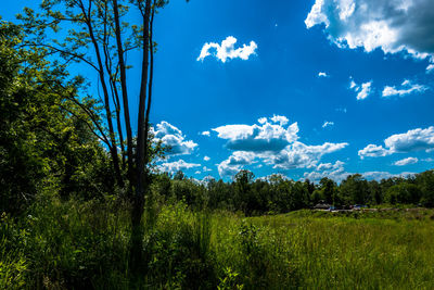 Scenic view of landscape against blue sky