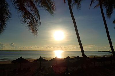 Silhouette palm trees on beach against sky during sunset