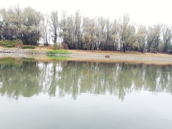 Reflection of trees in lake against sky