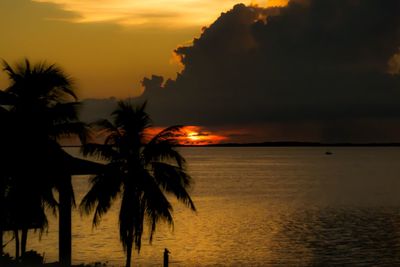 Silhouette of palm trees at sunset