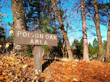 Information sign on tree trunk