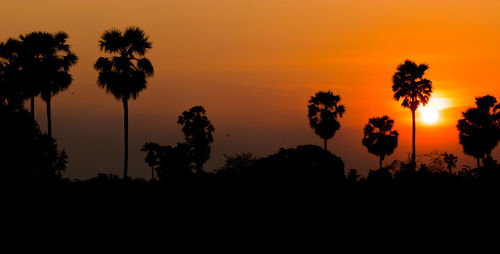 Silhouette trees against orange sky