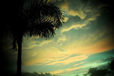 Low angle view of silhouette palm trees against sky