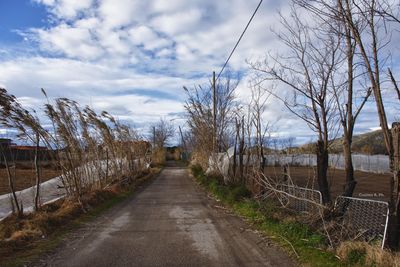 Road amidst bare trees against sky