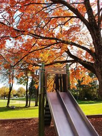 Trees in park during autumn