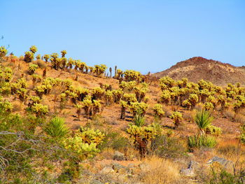 Scenic view of rocky mountains against clear blue sky