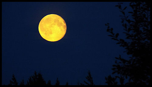 Low angle view of moon in sky