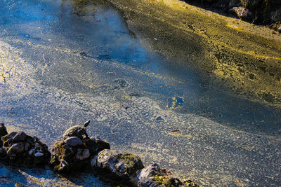 High angle view of rocks on beach