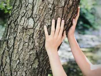 Midsection of person touching tree trunk
