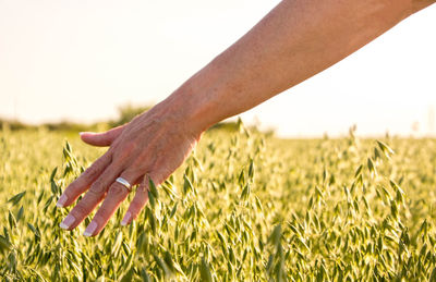 Close-up of hand on field against sky
