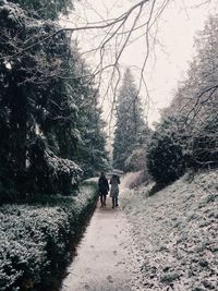 Women walking on snowy pathway amidst trees at park