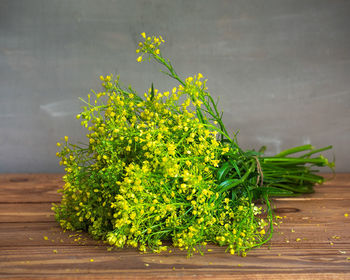 Bouquet of wildflowers, serpent or blooming rapeseed on a wooden table